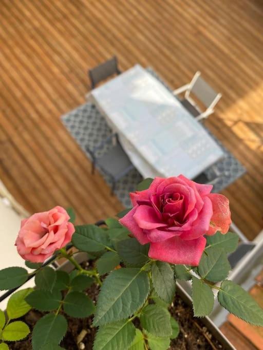 Maison Cosy A 비시 외부 사진